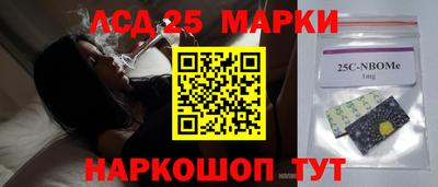 индика Кандалакша