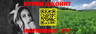 индика Кандалакша