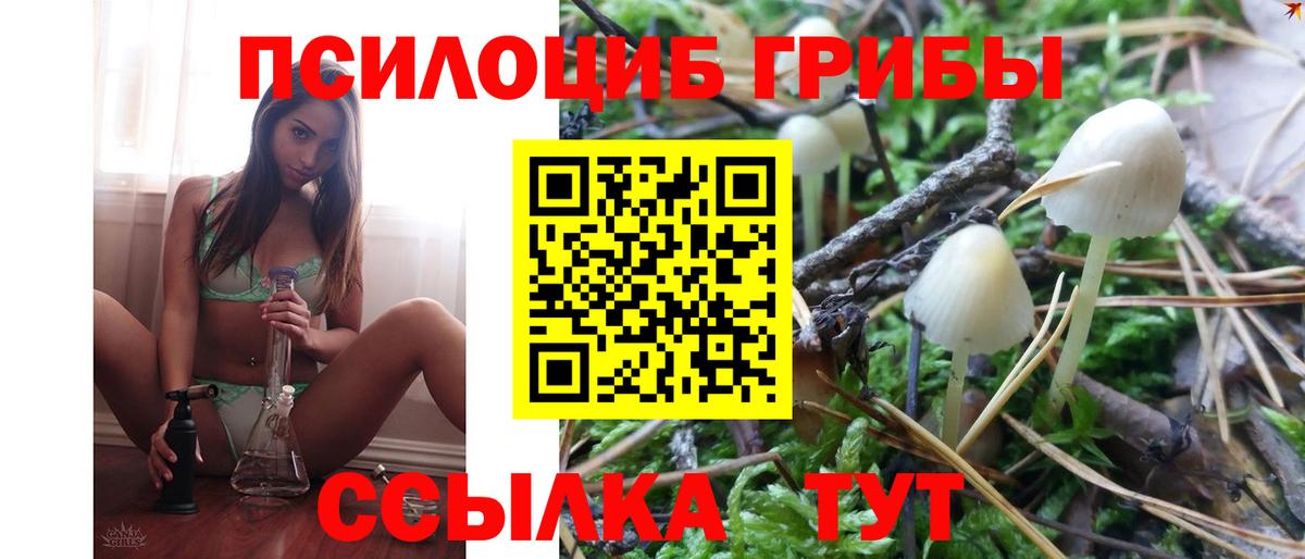Псилоцибиновые грибы Cubensis Лабытнанги